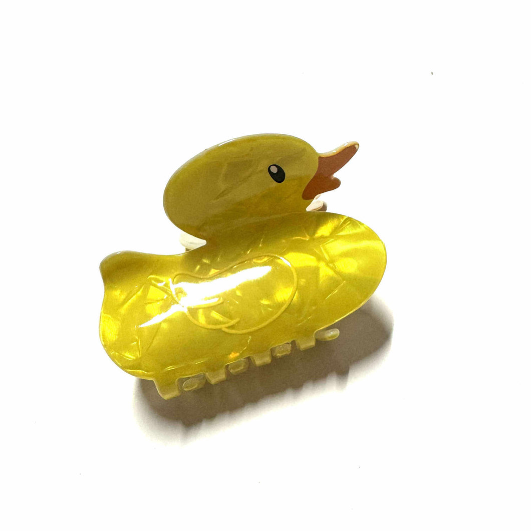 Canard