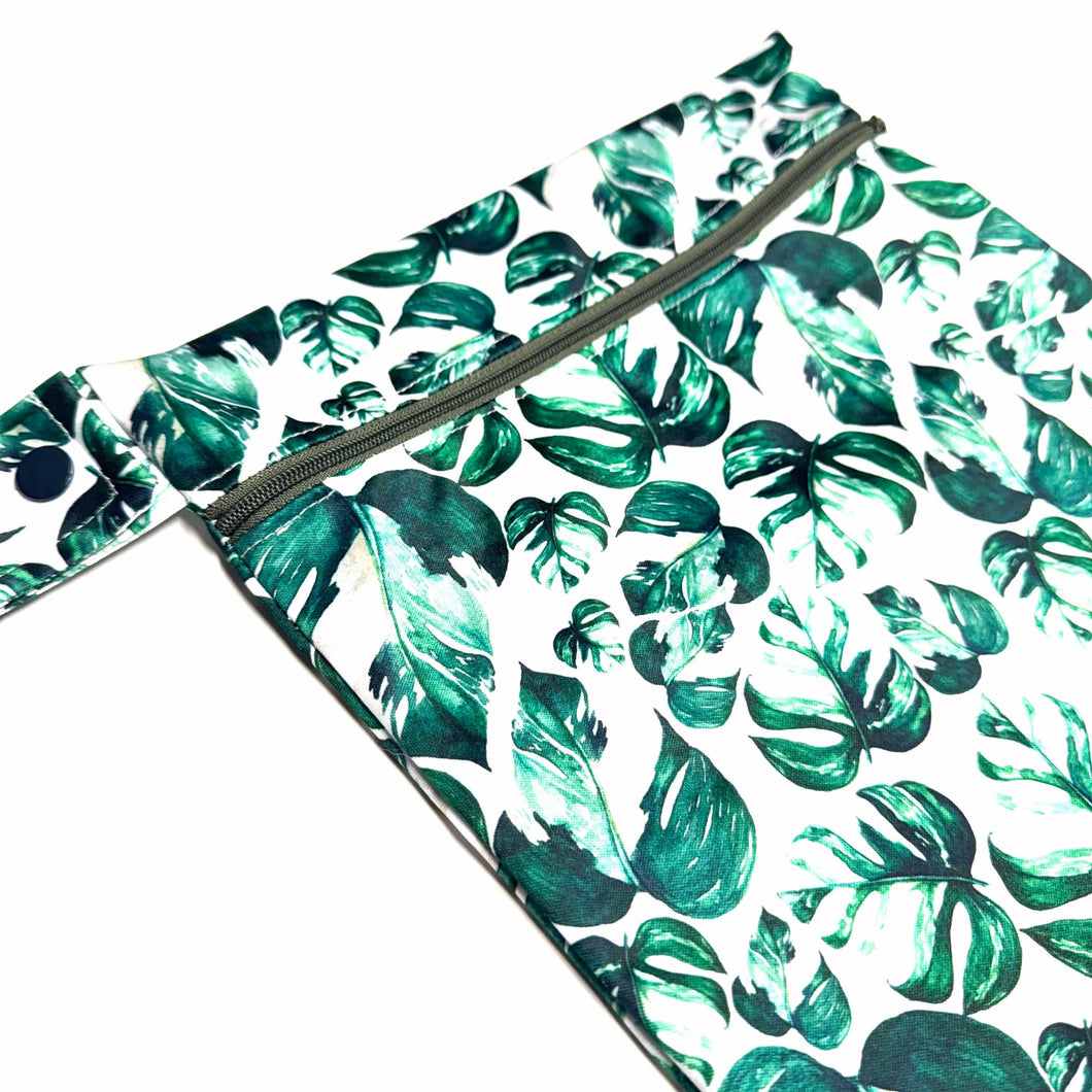 Monstera
