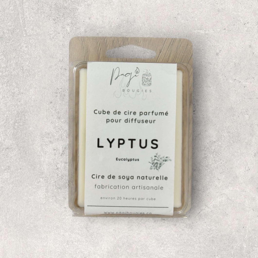 Lyptus