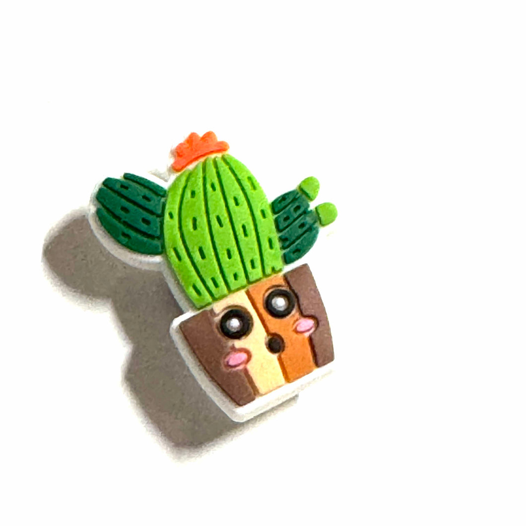 Cactus • Brun