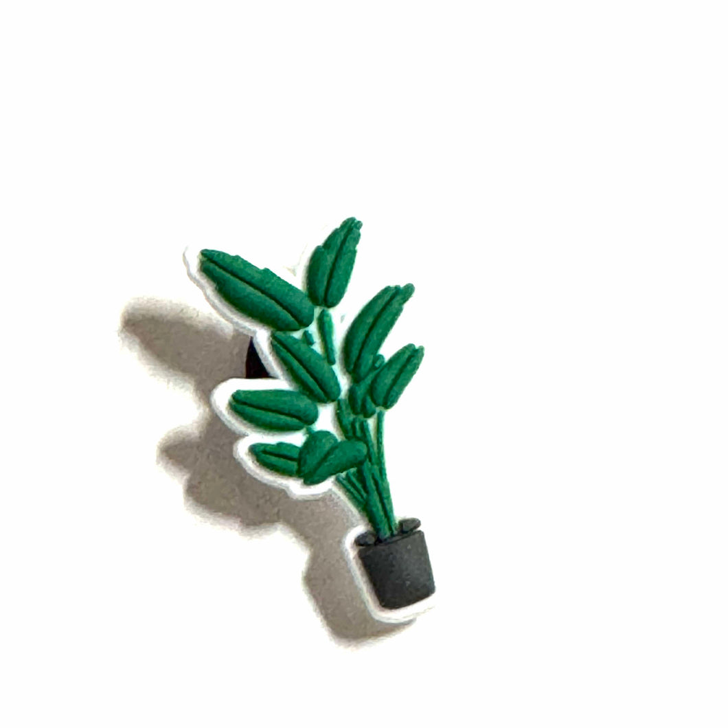 Plante