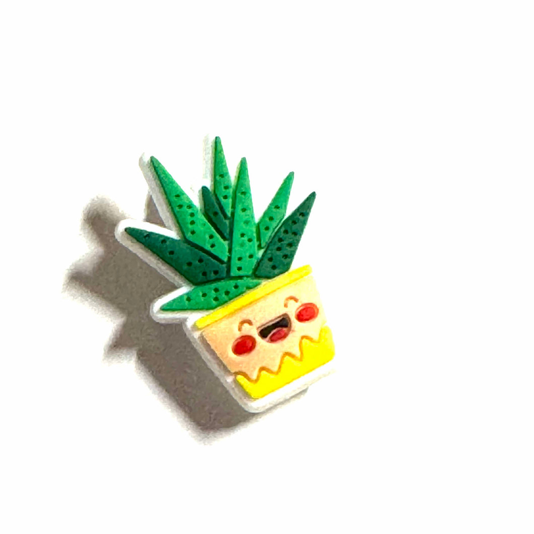 Plante