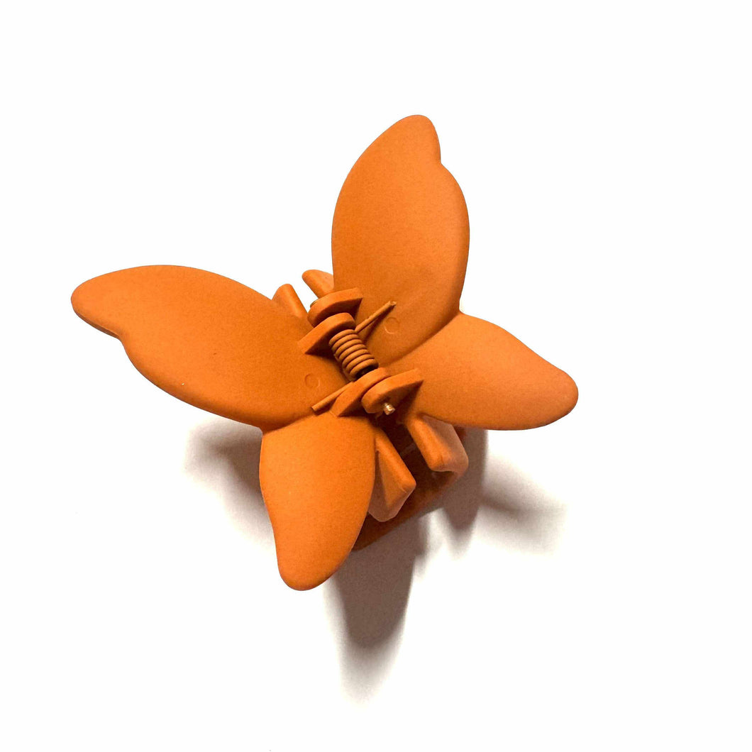Papillon • Orange