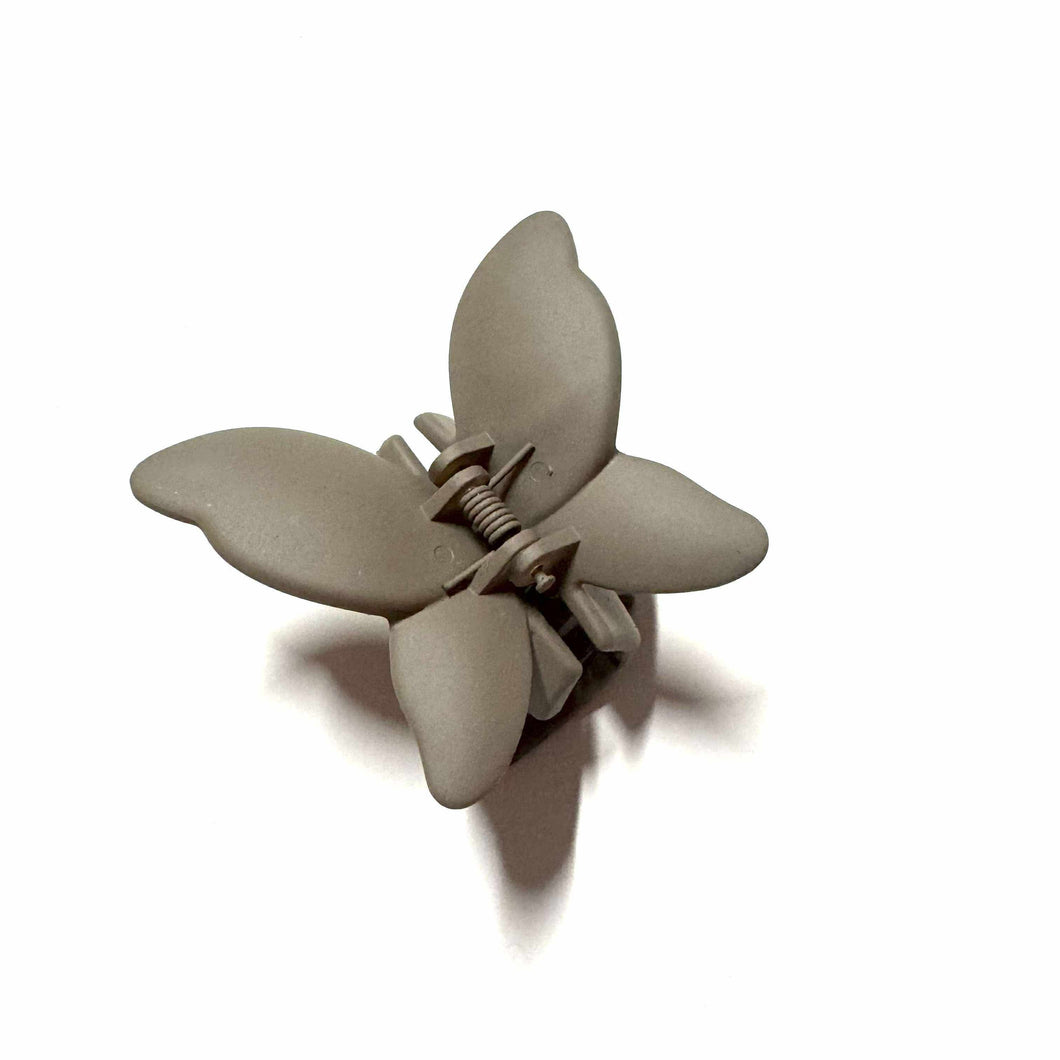 Papillon • Brun