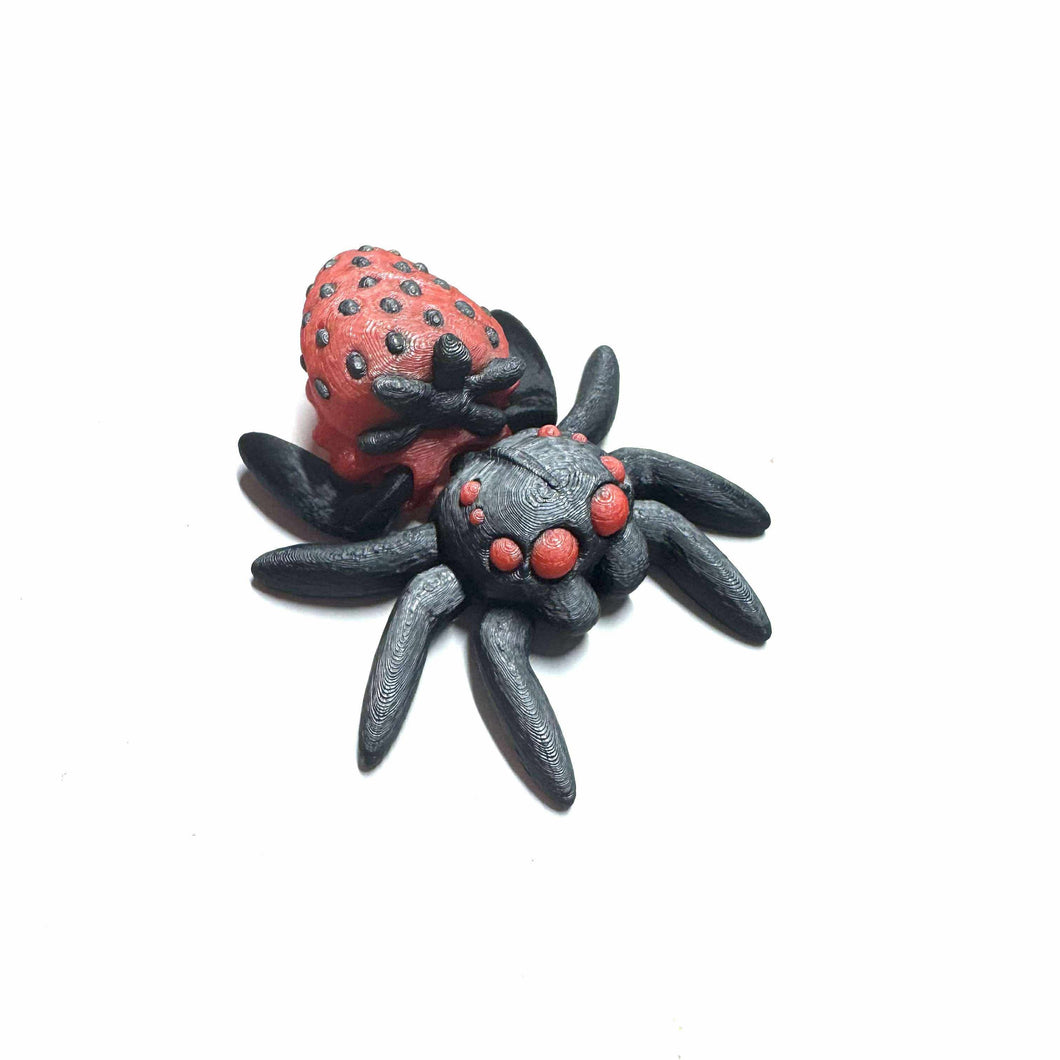 Araignée