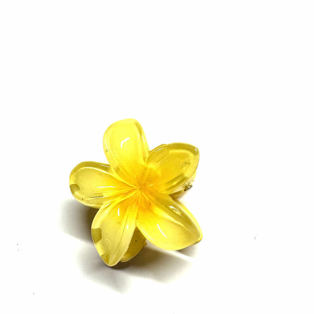 Mini • Fleur jaune