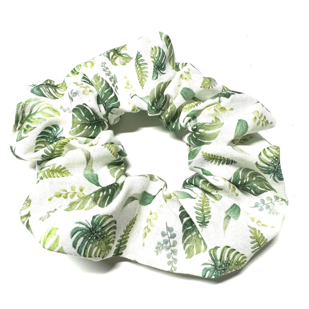 Monstera