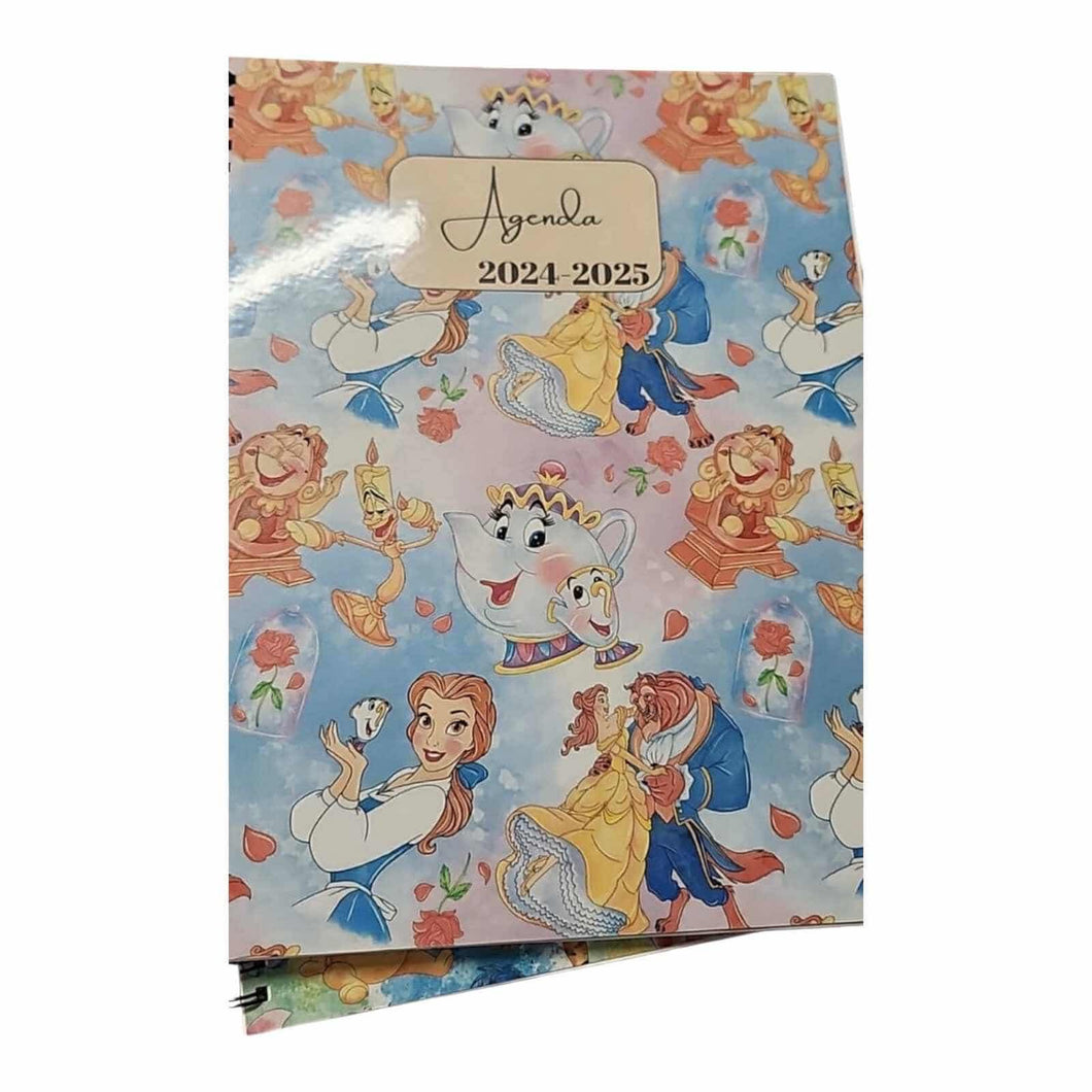 Agenda • Imparfait  • Princesse