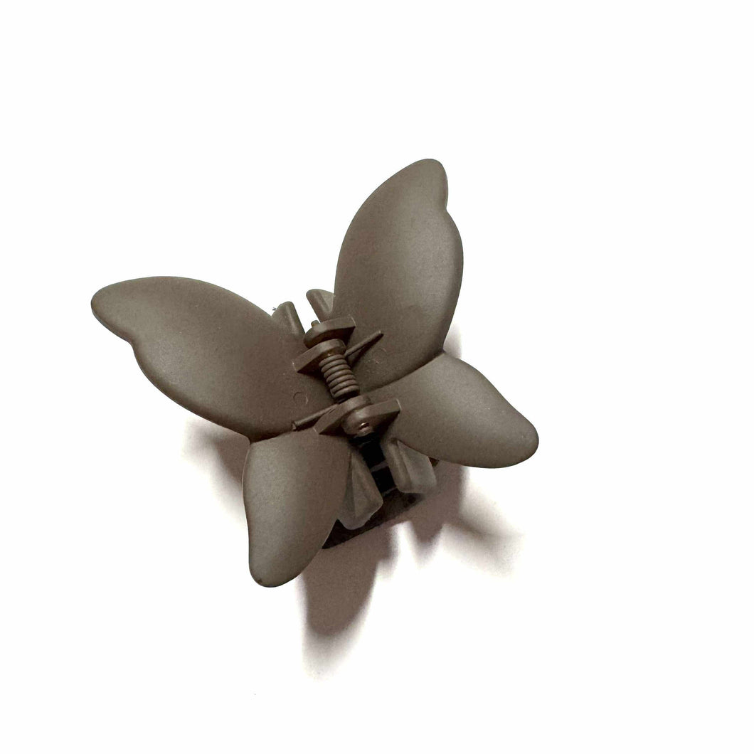 Papillon • Brun