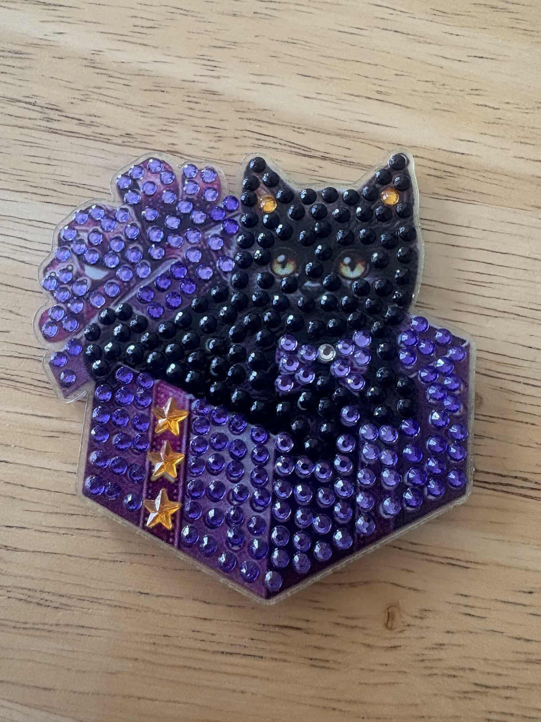 Chat •  Noir