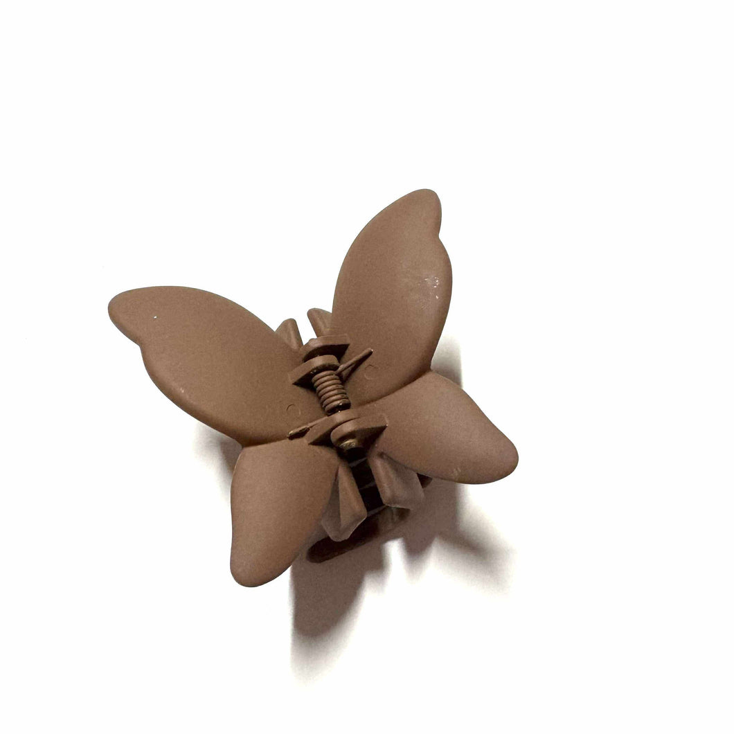 Papillon • Brun