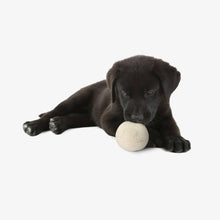 Charger l'image dans la galerie, Balle de laine "Woolf" pour chiens | Lot de 2 | Jouet de lancer naturel

