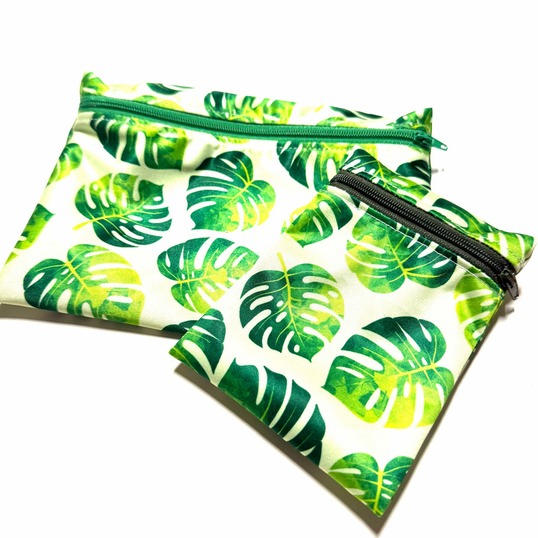Monstera