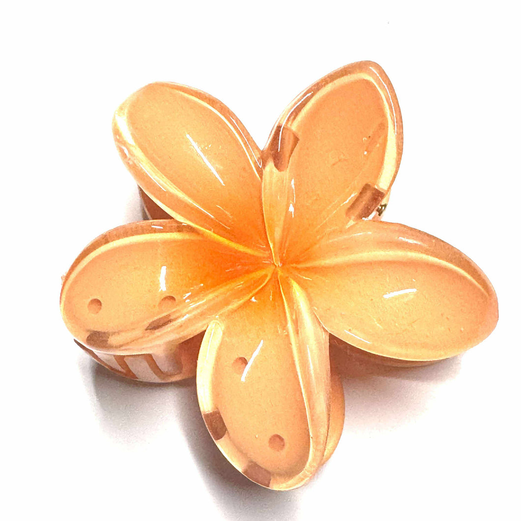 Fleur orange