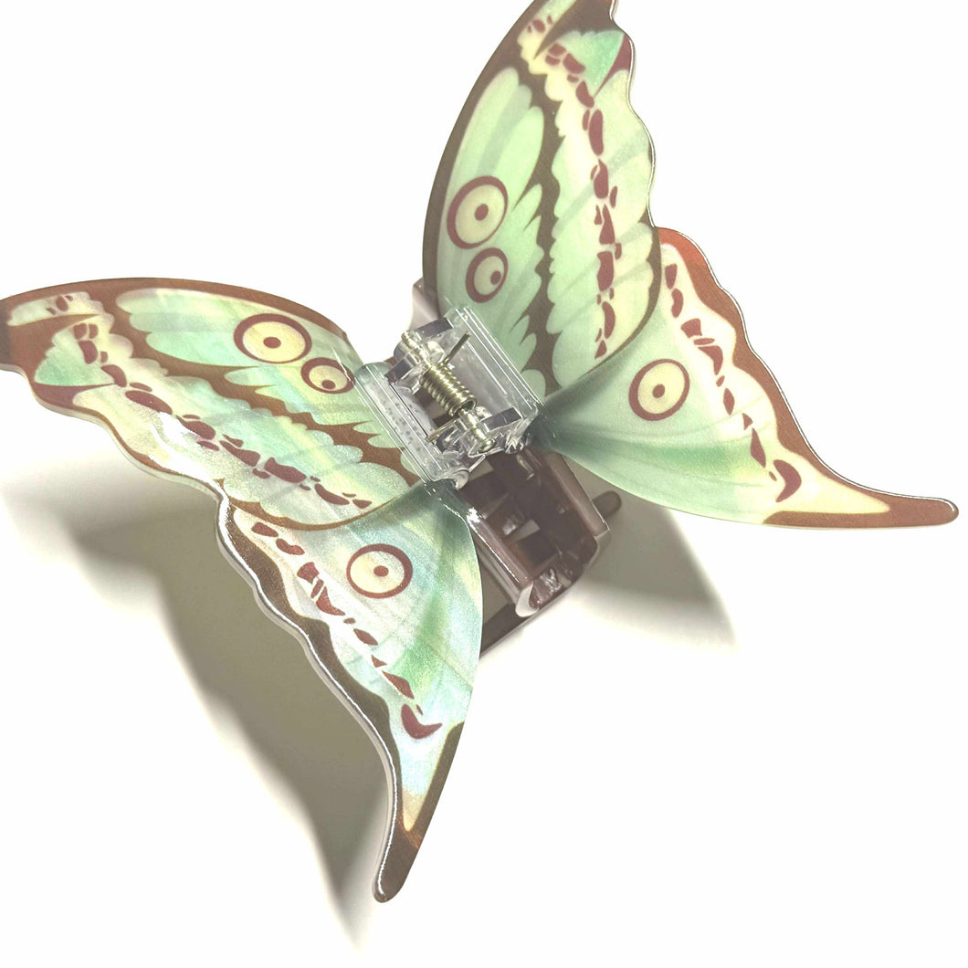 Papillon