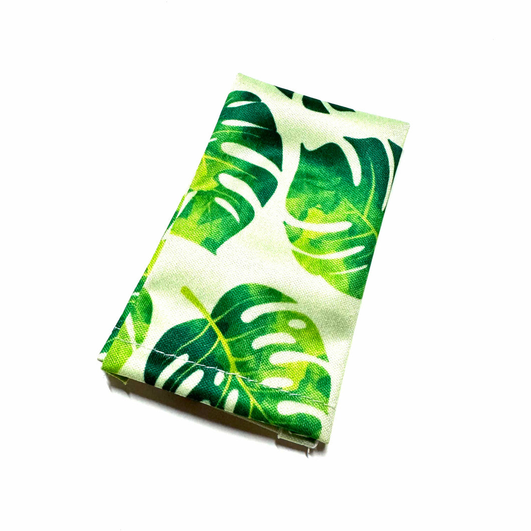 Monstera