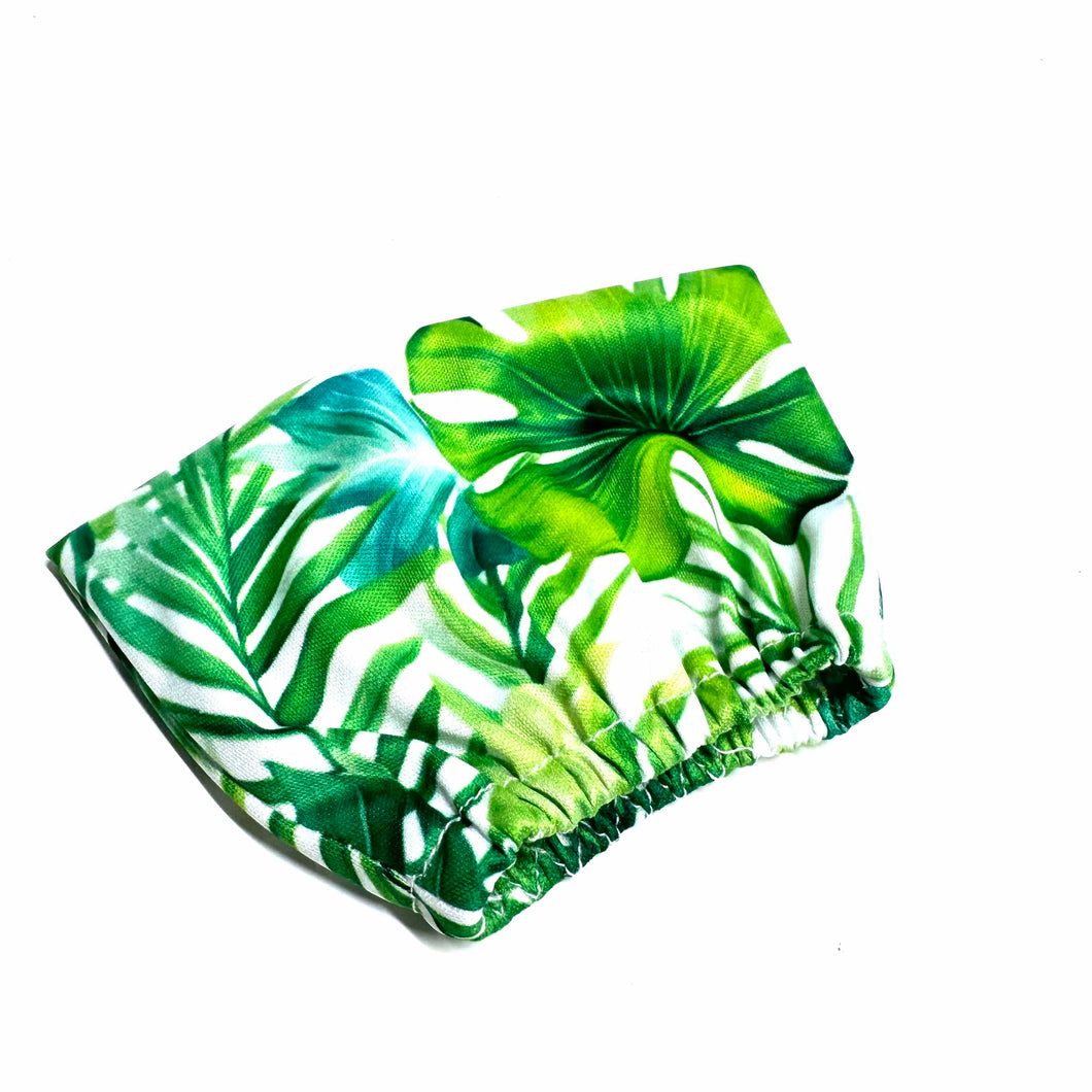 Monstera