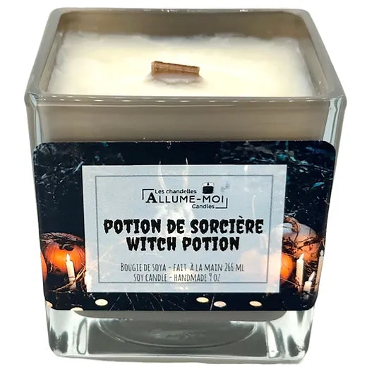 Potion de sorcière